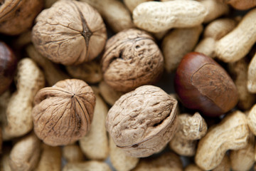 gros plan sur fruits secs