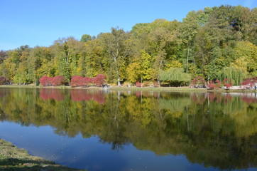 Obraz premium autumn landscape