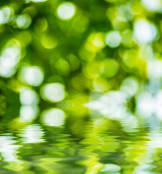 Abstract circular green bokeh reflected in water.