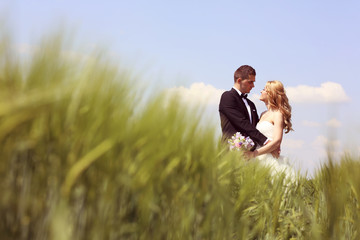 Naklejka na ściany i meble Bride and groom having fun on the fields