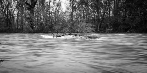 Ticino river during a winter flood. BW image