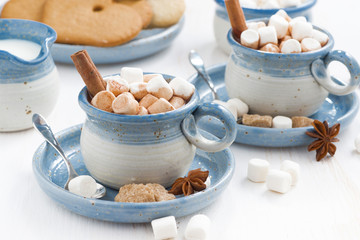 two cups of cocoa with marshmallows and cinnamon