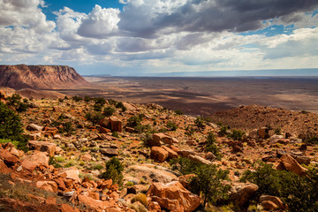 Scenic Arizona