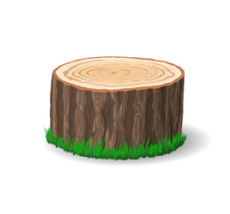 Cross section of tree stump, vector illustration