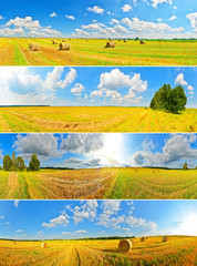 Set of field panoramas