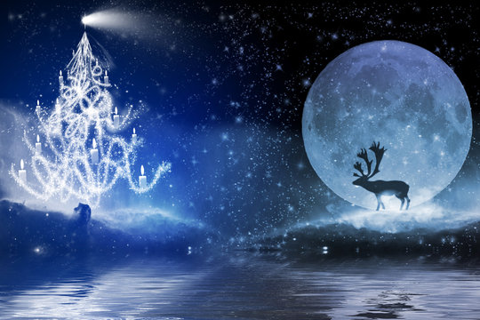 Winter night with christmas tree and reindeer in the moonlight