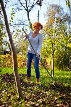 Farmer lady raking, cleaning the garden