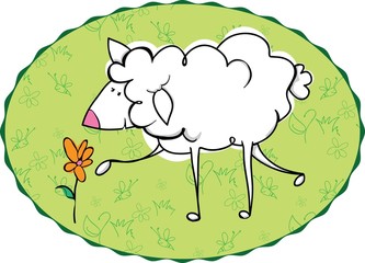 Cute spring sheep