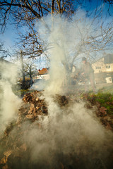 Fototapeta na wymiar Old farmer burning dead leaves