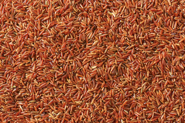 Camargue red rice