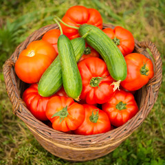Fresh Vegetables