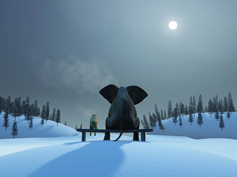 elephant and dog at Christmas night
