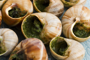 Close up of Escargots with garlic butter
