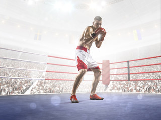Obraz premium Professional boxer is training on the grand arena