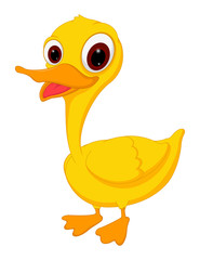 Cute duck cartoon