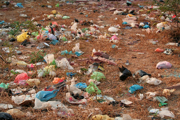 Pollution