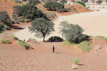 Trip durch Sossusvlei Namibia