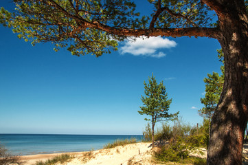 Sunny beach of the Baltic sea - obrazy, fototapety, plakaty