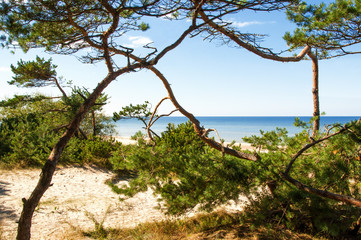 Sandy beach of the Baltic sea. Klaipeda,Palanga