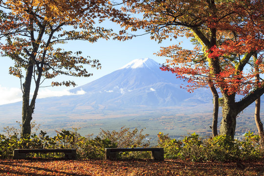 Mt. Fuji with fall colors in Japan