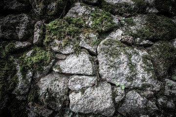 texture of natural stone and moss