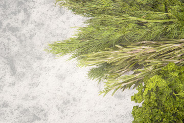 parsley, dill and rosemary on a white background