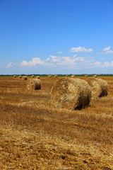 Fototapeta na wymiar Bale of hay