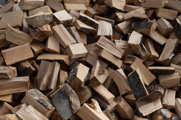 Cutted beech wood