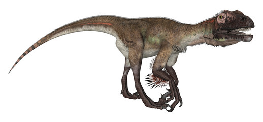 Obraz na płótnie Canvas Dinosaur Utahraptor