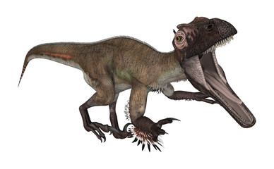 Naklejka premium Dinosaur Utahraptor