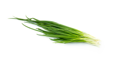 Fototapeta premium Green Onion