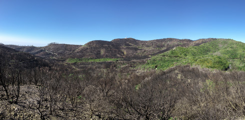 Fototapeta na wymiar La Gomera - Landschaft nach dem Brand 2012