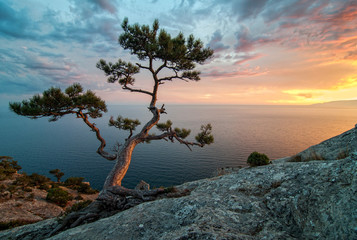 Amazing nature of Crimea, Ukraine: sea, rocks and pines