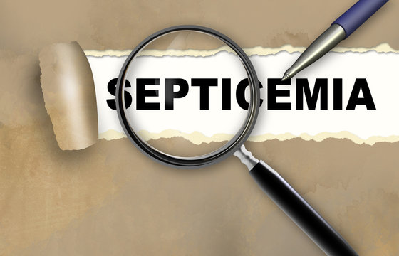 septicemia