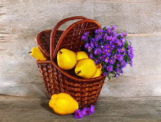 Ripe yellow pears in a wicker basket on the wooden background