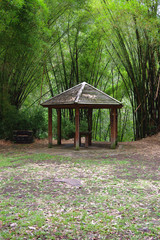 Naklejka premium La Réunion - Kiosque et bambous