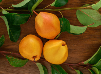 Three ripe yellow pears with leaves on a wooden background