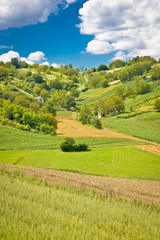 Fototapeta premium Green landscape hill with vineyards and cottages