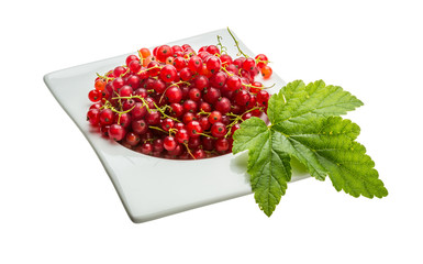 Red currant
