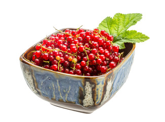 Red currant