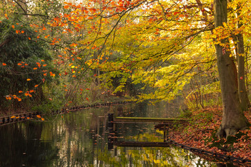 Wooden dock in the autumn