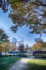 Naklejka premium autumn in charlotte city qc of north carolina