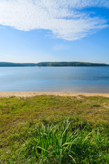 Fototapeta na wymiar Green grass on shore of Chancza lake, Poland