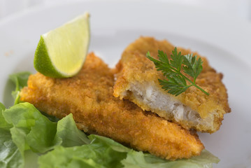 filet de colin pané