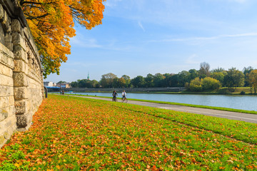 Fototapeta premium Autumn trees along Vistula river in Krakow on sunny day, Poland