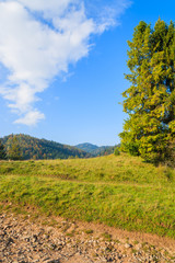 Fototapeta na wymiar Path in autumn landscape of Pieniny Mountains, Poland