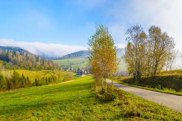Countryside road in autumn,  Beskid Niski Mountains, Poland