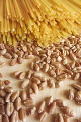 spaghetti and wheat
