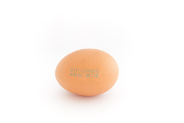 Egg with tracking and expire date