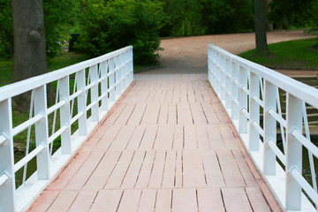 Small bridge in green park